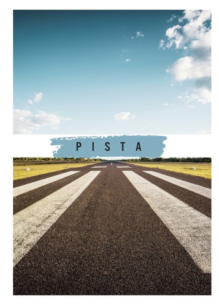 【匿名配送】【岩及】PISTA