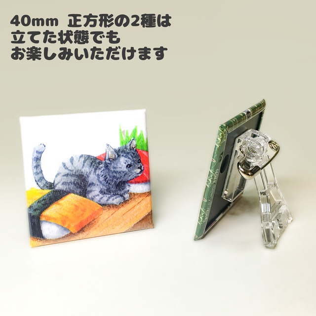 わんにゃんイラスト 缶バッジ 38mm/正方形
