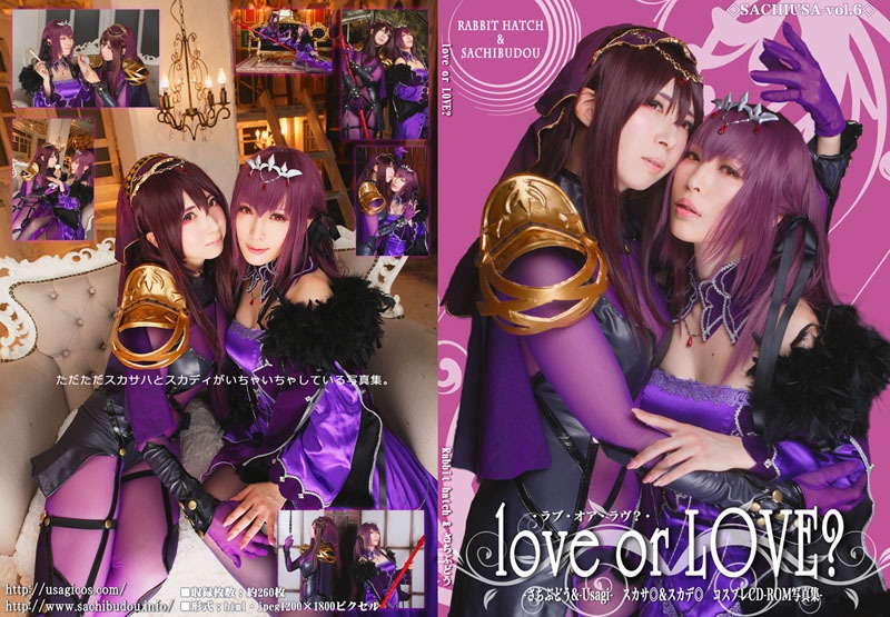＜Ｃ９５合同＞さちうさvol.6　love　or　LOVE？