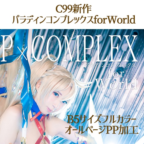 <B5冊子>パラディンコンプレックス for World(C99)