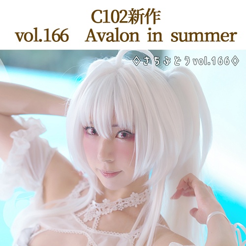 vol.166　Avalon in summer（C102）