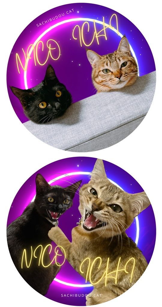 【受注グッズ】にゃんちくん守りアクキー&ニコイチステッカー