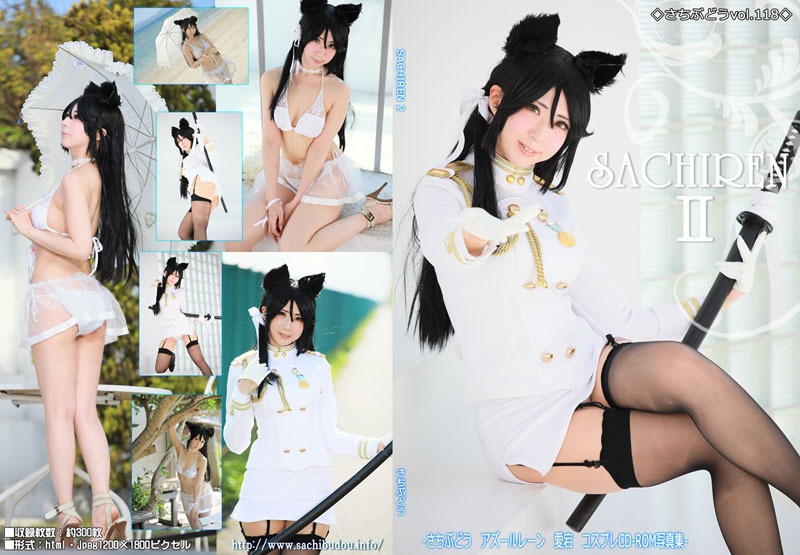 vol.118　SACHIREN2（C94）