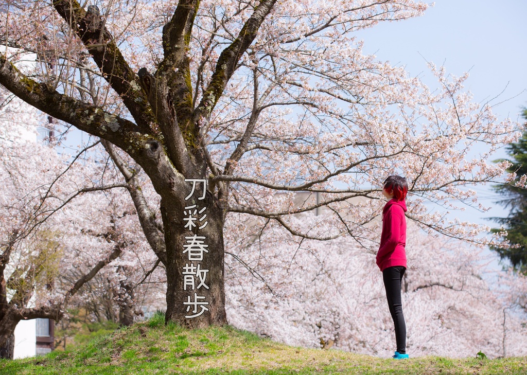 刀彩春散歩