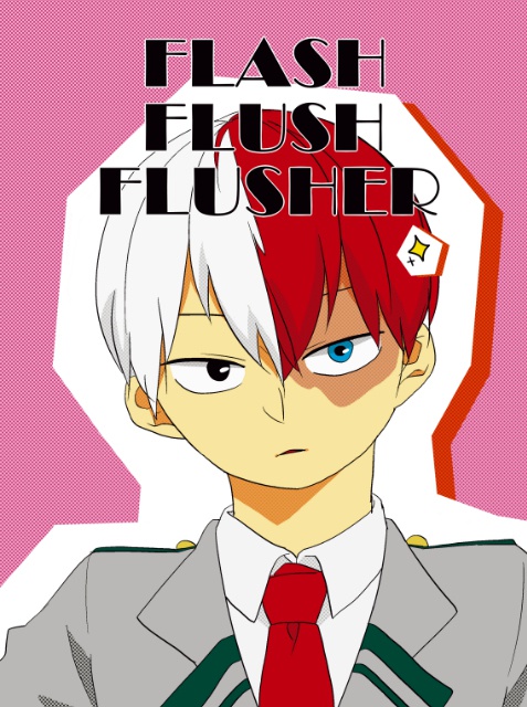 FLASH FLUSH FLUSHER