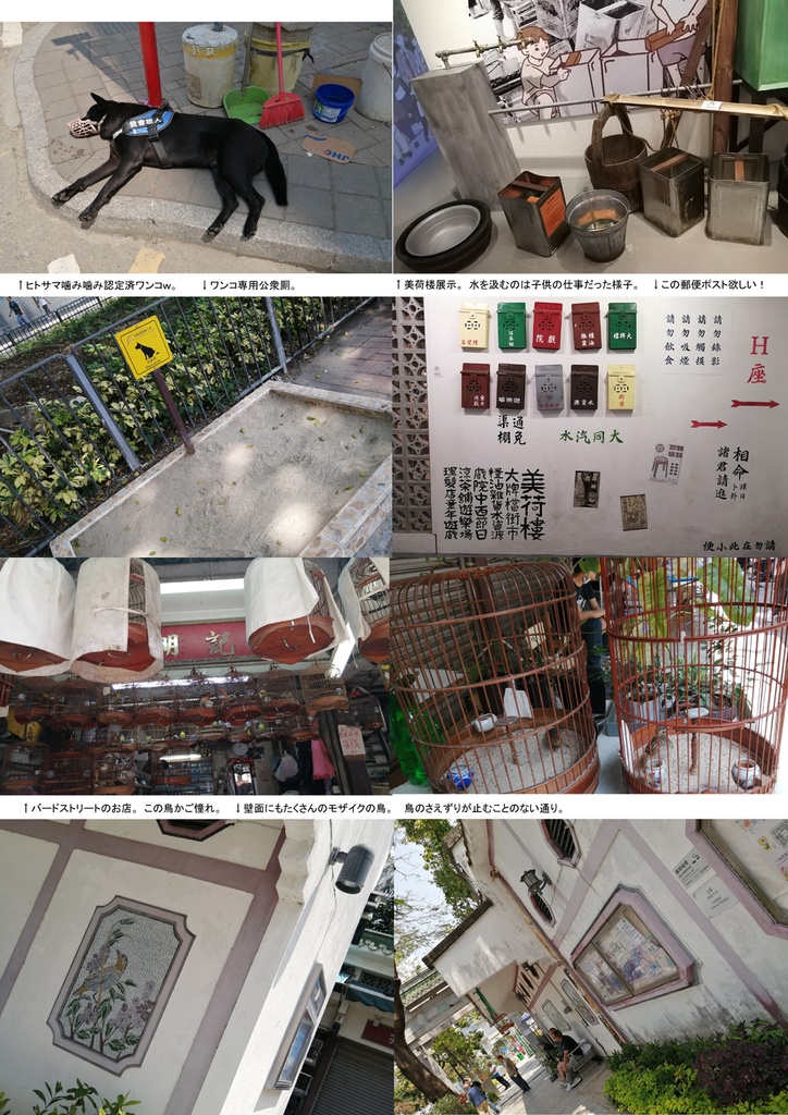 【TARUHIさんぽ】香港雑記