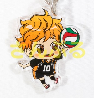 ハイキューアクキー/日向