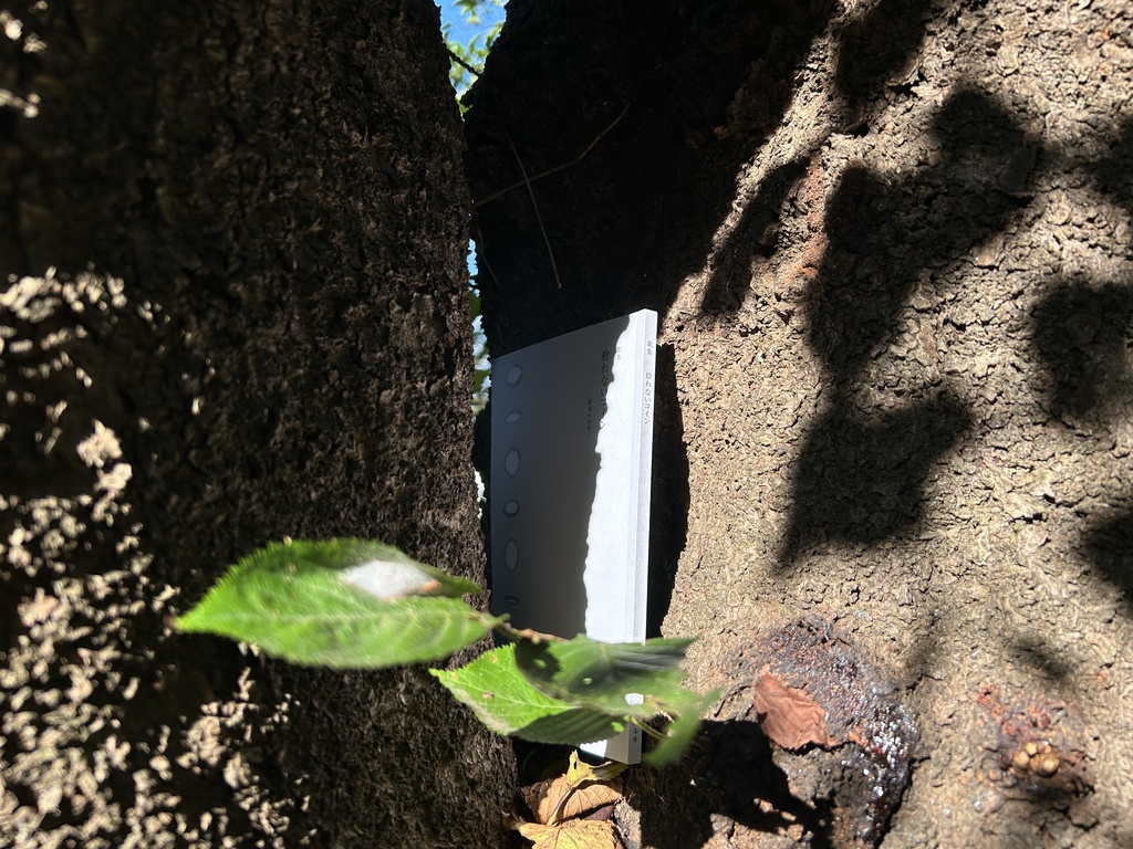 鈴木ベルキ歌集「拾わないコイン」 ★匿名配送