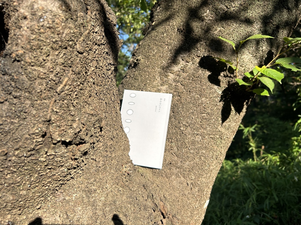 鈴木ベルキ歌集「拾わないコイン」 ★匿名配送