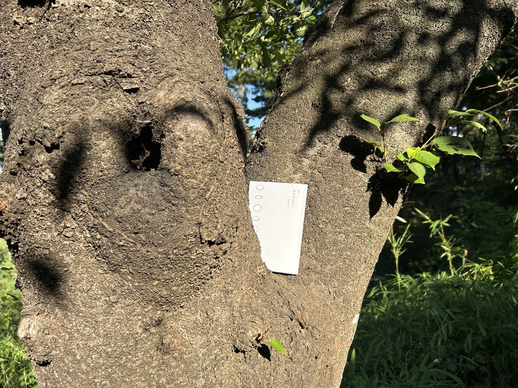 鈴木ベルキ歌集「拾わないコイン」 ★匿名配送