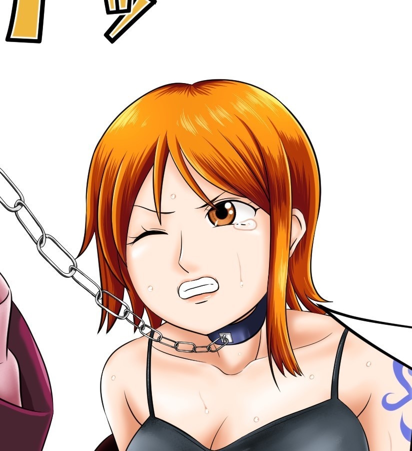 リクエスト絵 連行されるナミ