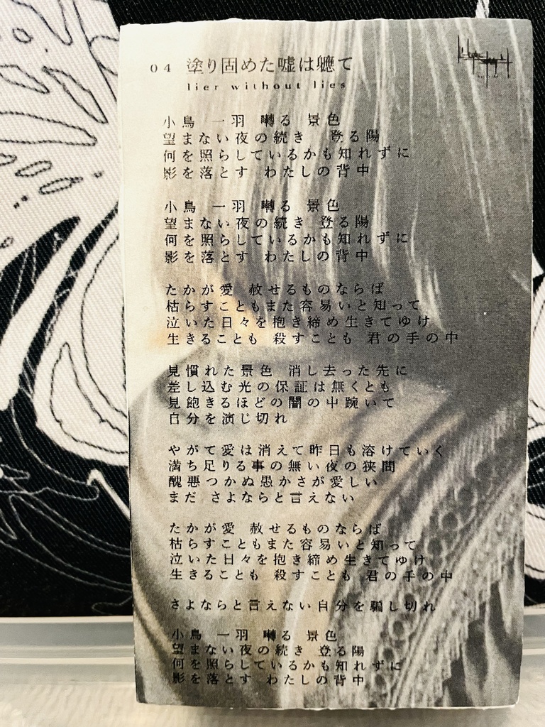 半立体展示作品「004 塗り固めた嘘は軈て」