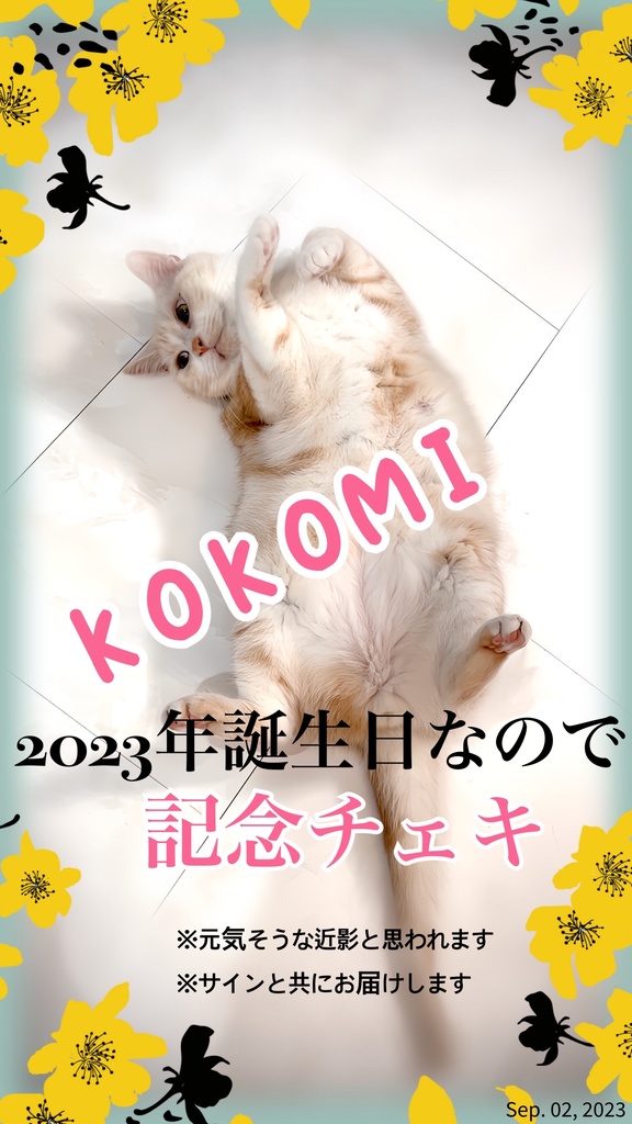 【2023/09/02】KOKOMI生誕祭記念チェキ＋メッセージカード
