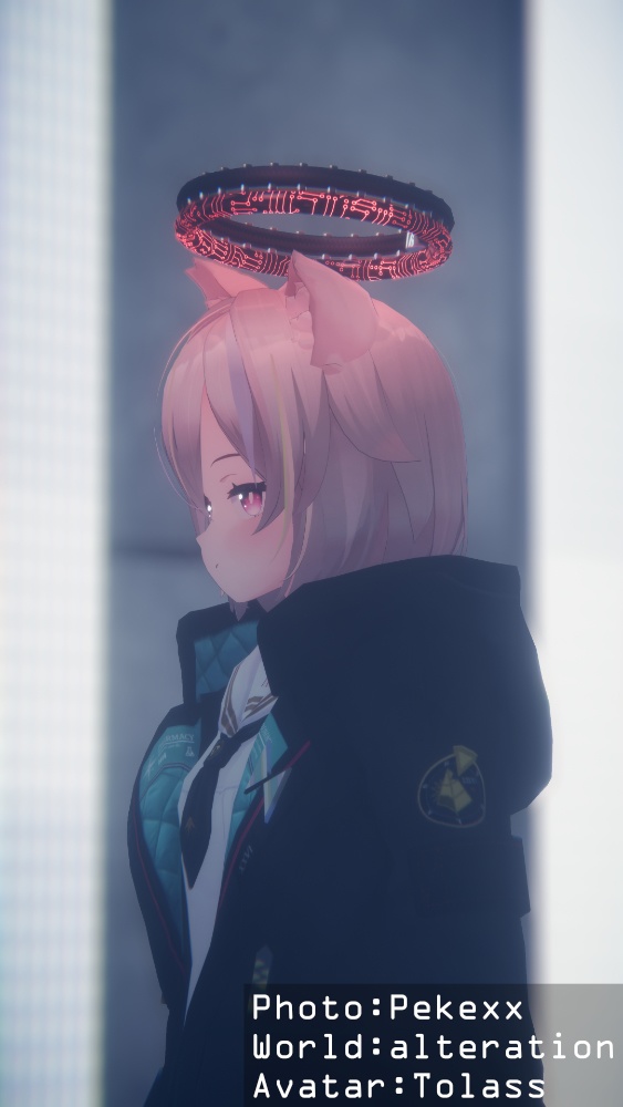 テックヘイロー Tech Halo