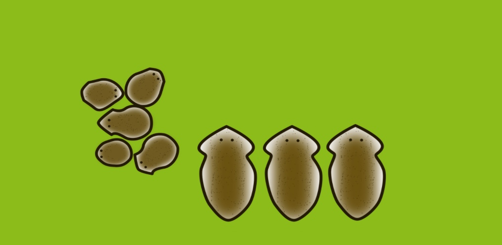 VTube Studio用 Vtuber アバター プラナリア