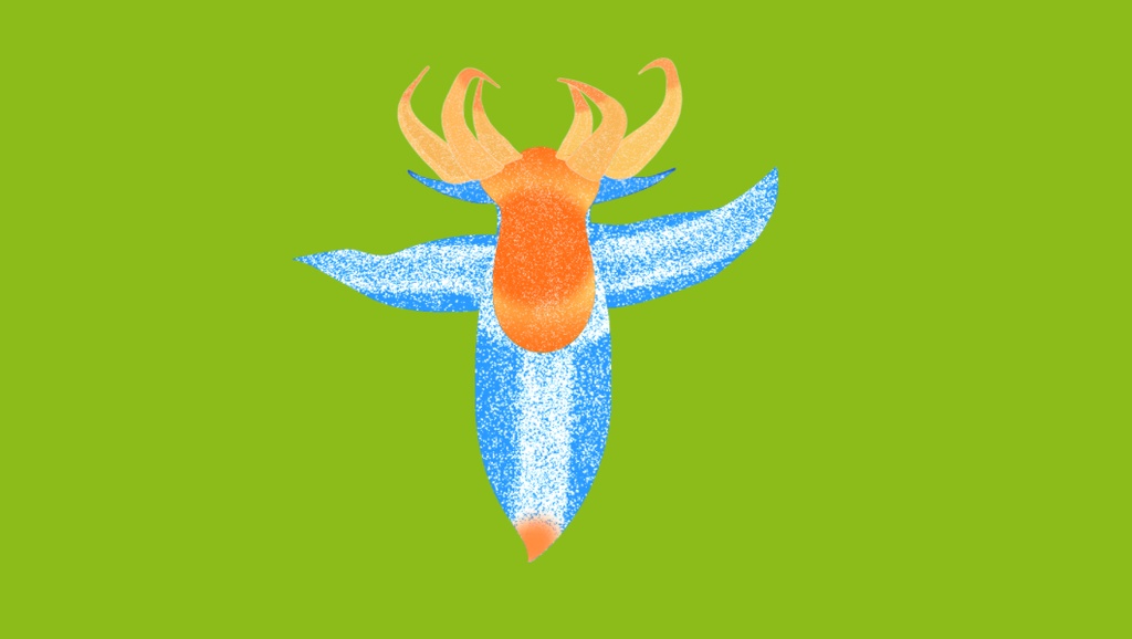 VTube Studio用 Vtuber アバター クリオネ