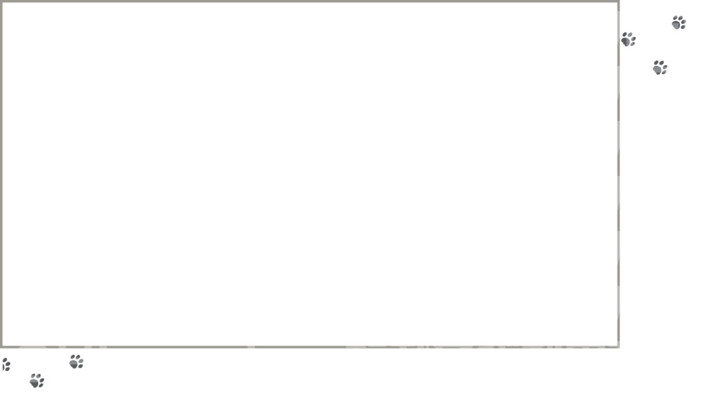 配信待機 アニメーション 画面 看板 猫