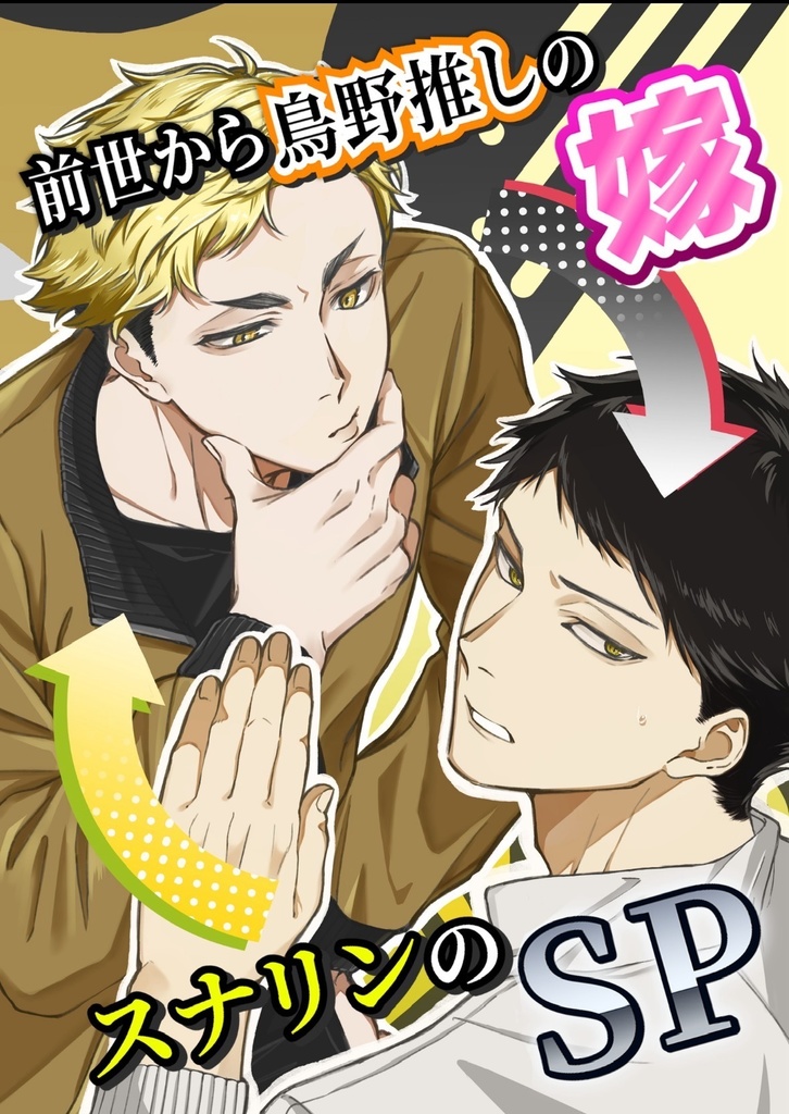 ｽﾅﾘﾝのSP⇔前世から烏野推しの嫁