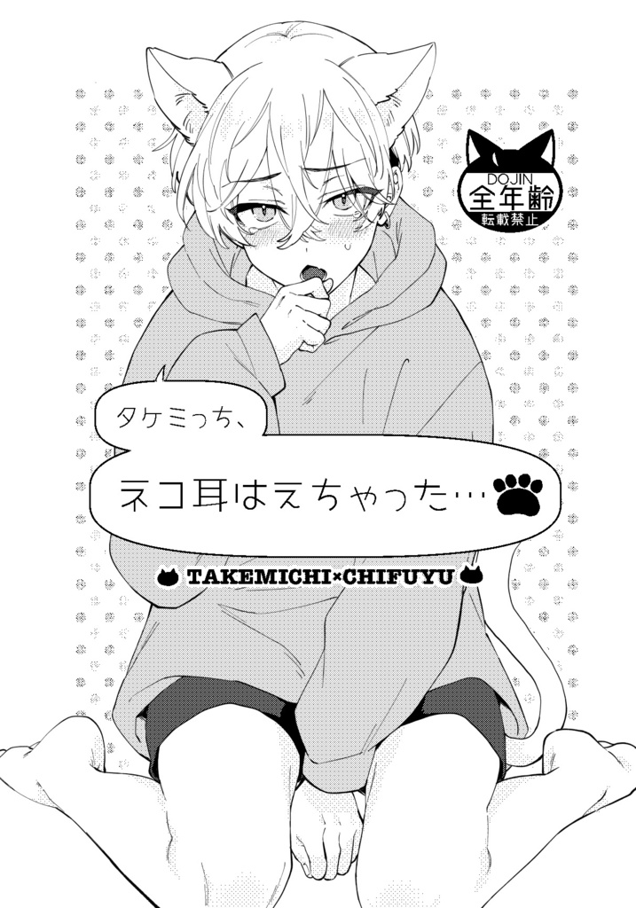 タケふゆコピー本