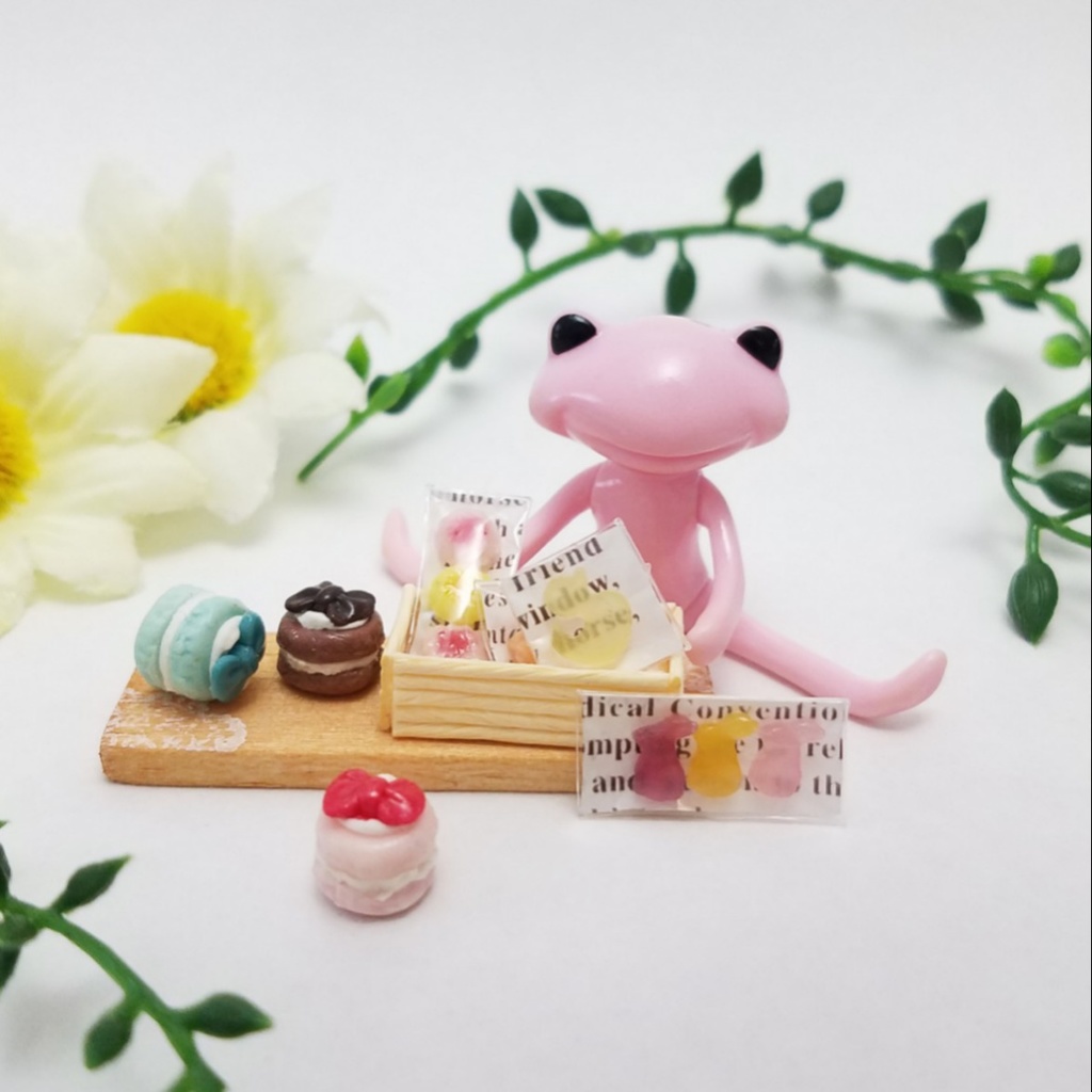 ミニチュアフード♡カラフルリボントゥンカロン&パッケージスイーツセット