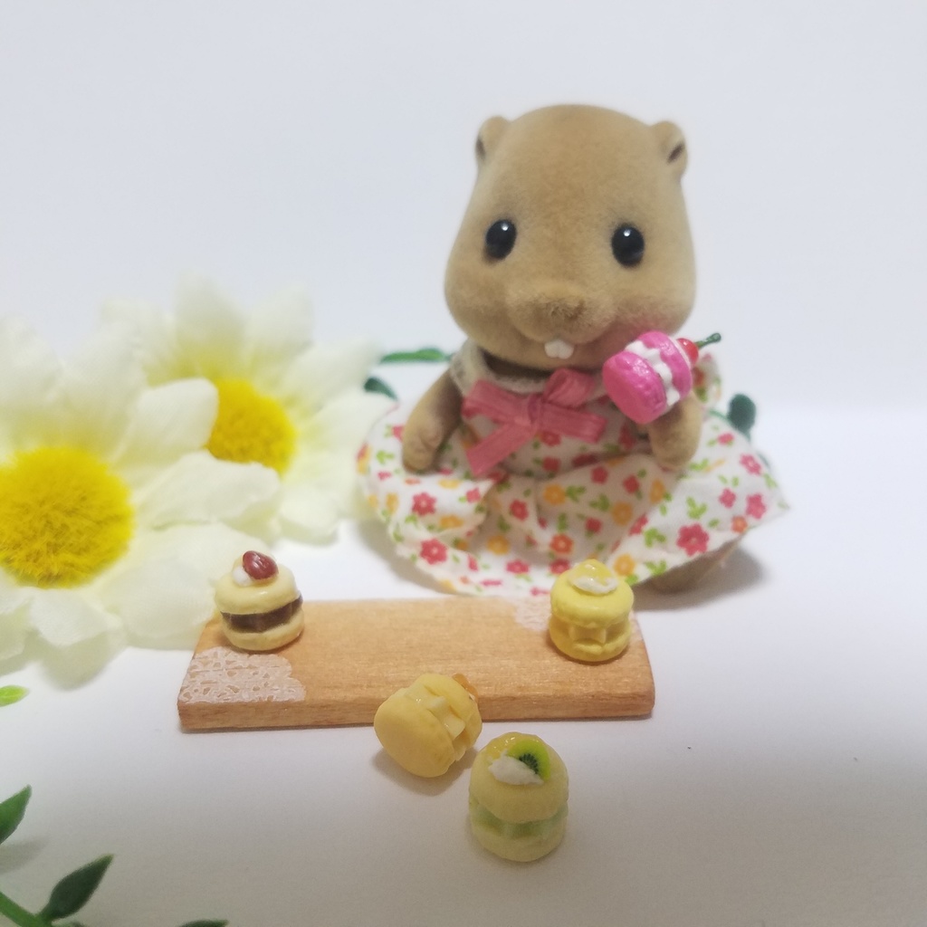 5種のカラフルトゥンカロン♡ハンドメイドミニチュアフード