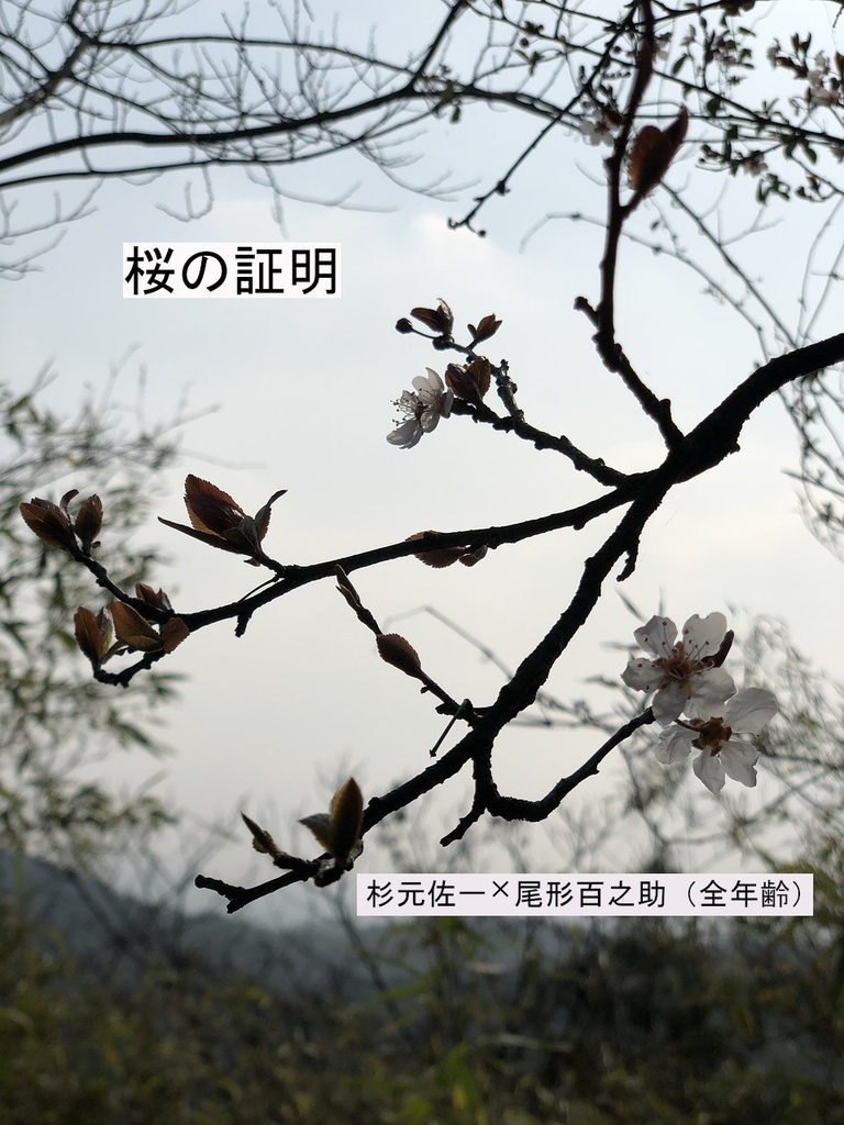 【匿名配送】「桜」の証明