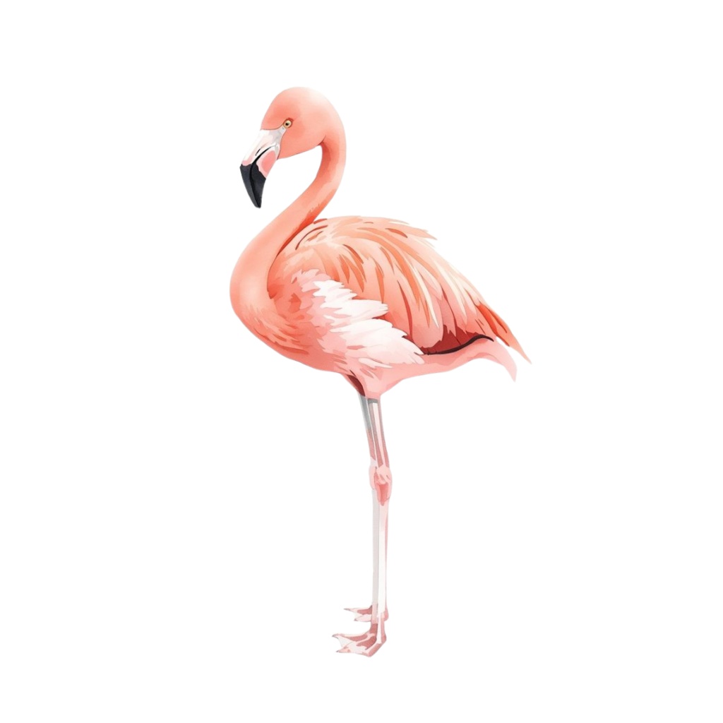 水彩風ベビーズーアニマルクリップアート20セット