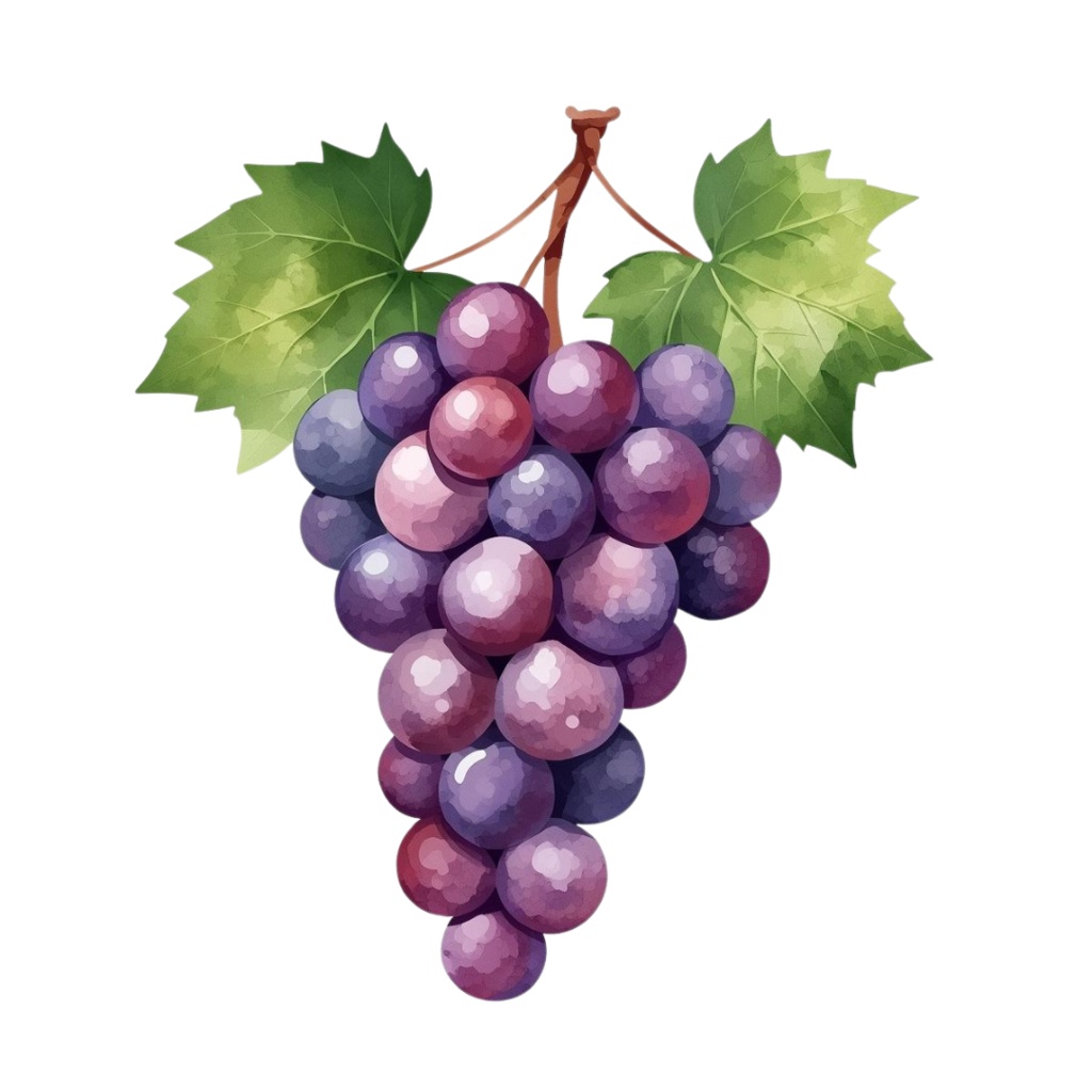 水彩画風 果物の可愛いクリップアート 10種類セット(PNG形式・背景透過)