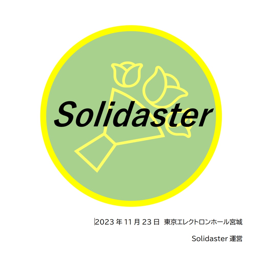 Solidaster記録集