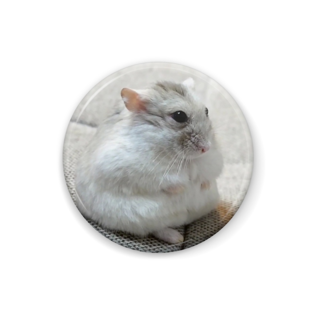 お座りカフェモカ◆缶バッチ