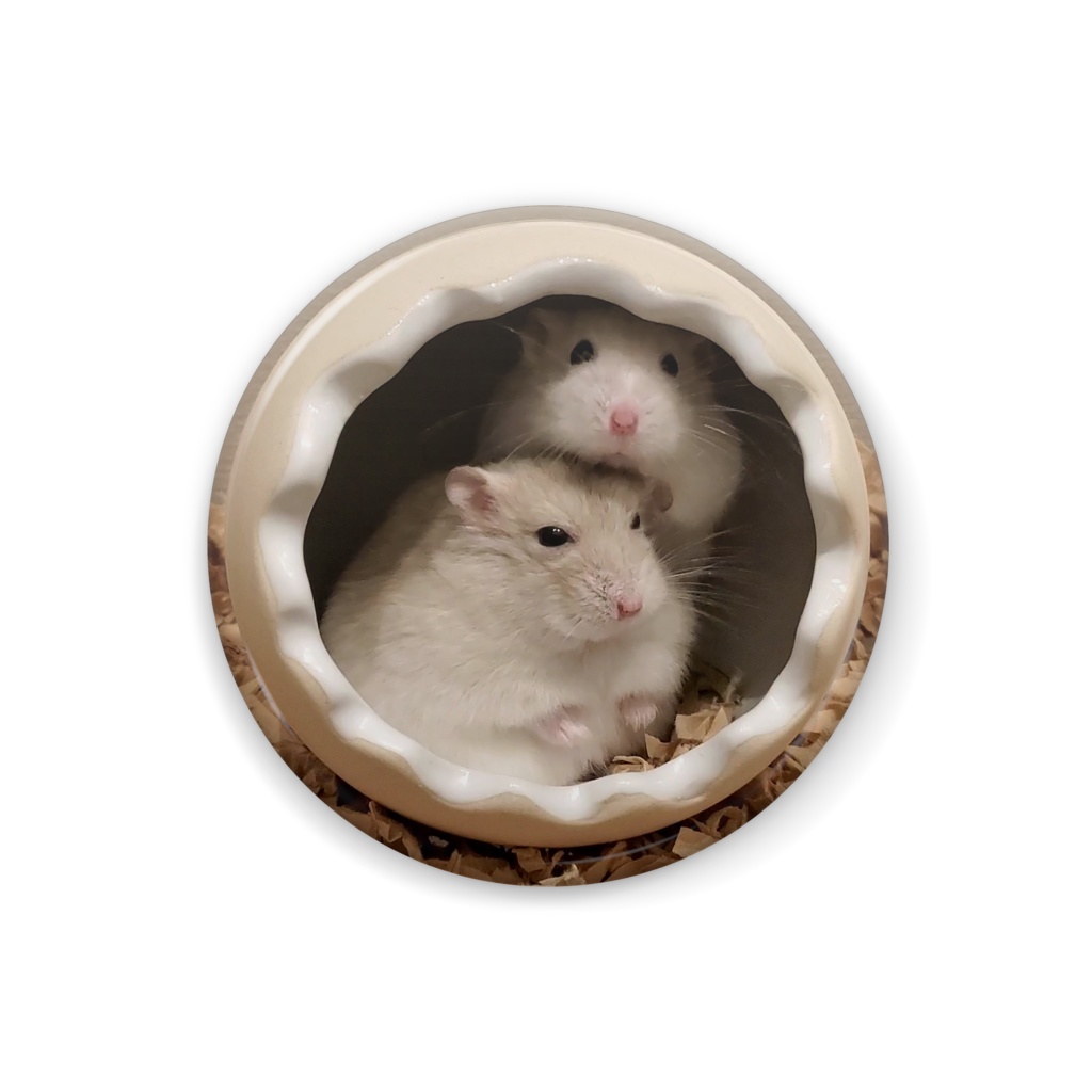 卵に入った仲良し兄弟カフェモカ&すふれ◆缶バッジ