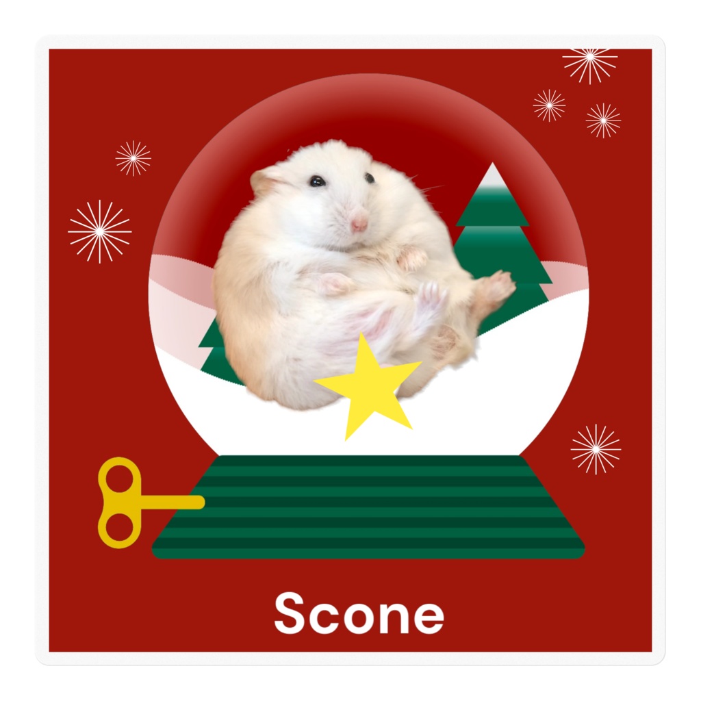 クリスマスすこーん