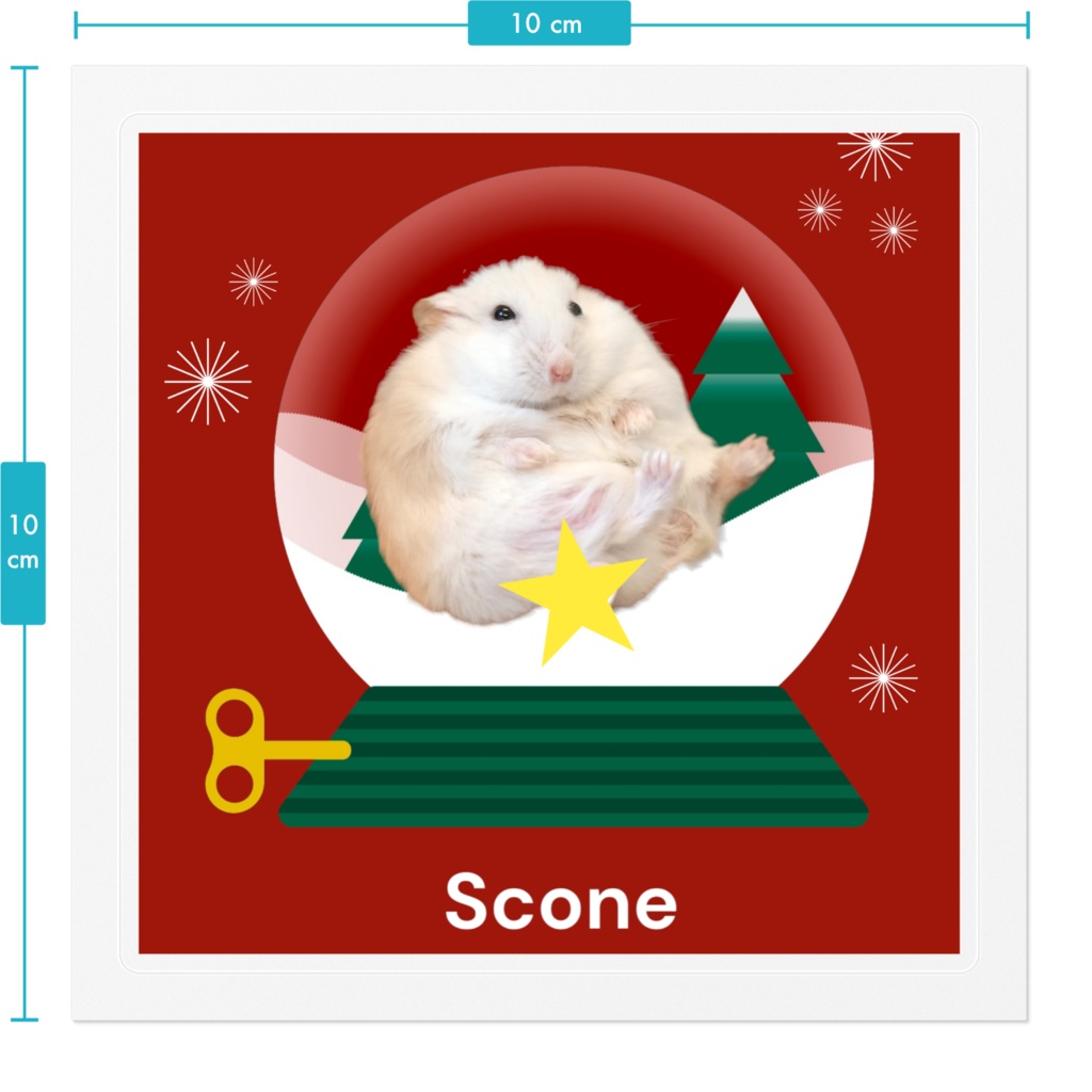 クリスマスすこーん