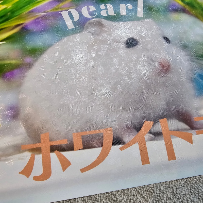 【NEW!】ハムスター赤ちゃんポストカード(絵柄全12種1セット)