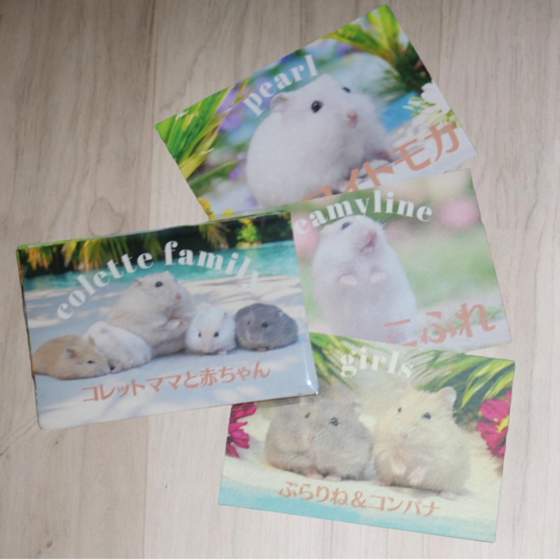 【NEW!】ハムスター赤ちゃんポストカード(絵柄全12種1セット)