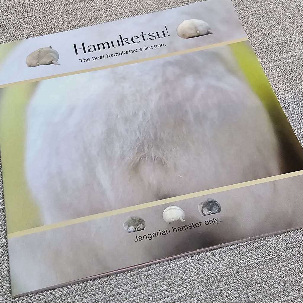 ハムケツ写真集