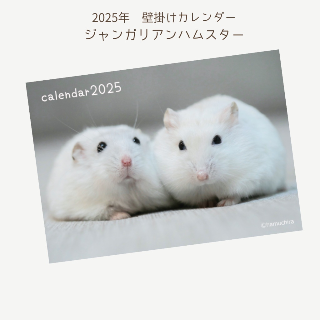 【予約商品(～10/21迄)】壁掛けカレンダー2025～赤ちゃん中心（ジャンガリアンハムスター）