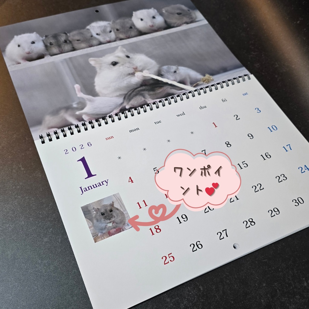 ご予約商品(~11/21)【2026年1月始まり】壁掛けカレンダー2026~ハムスターメモリー(ジャンガリアンハムスター)