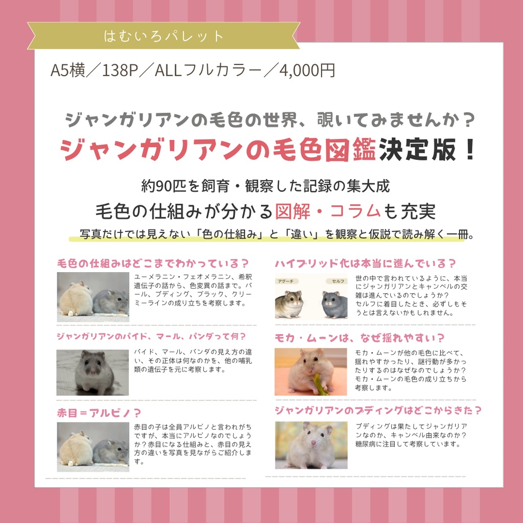 【新刊】はむいろパレット ~ジャンガリアンの毛色の世界~