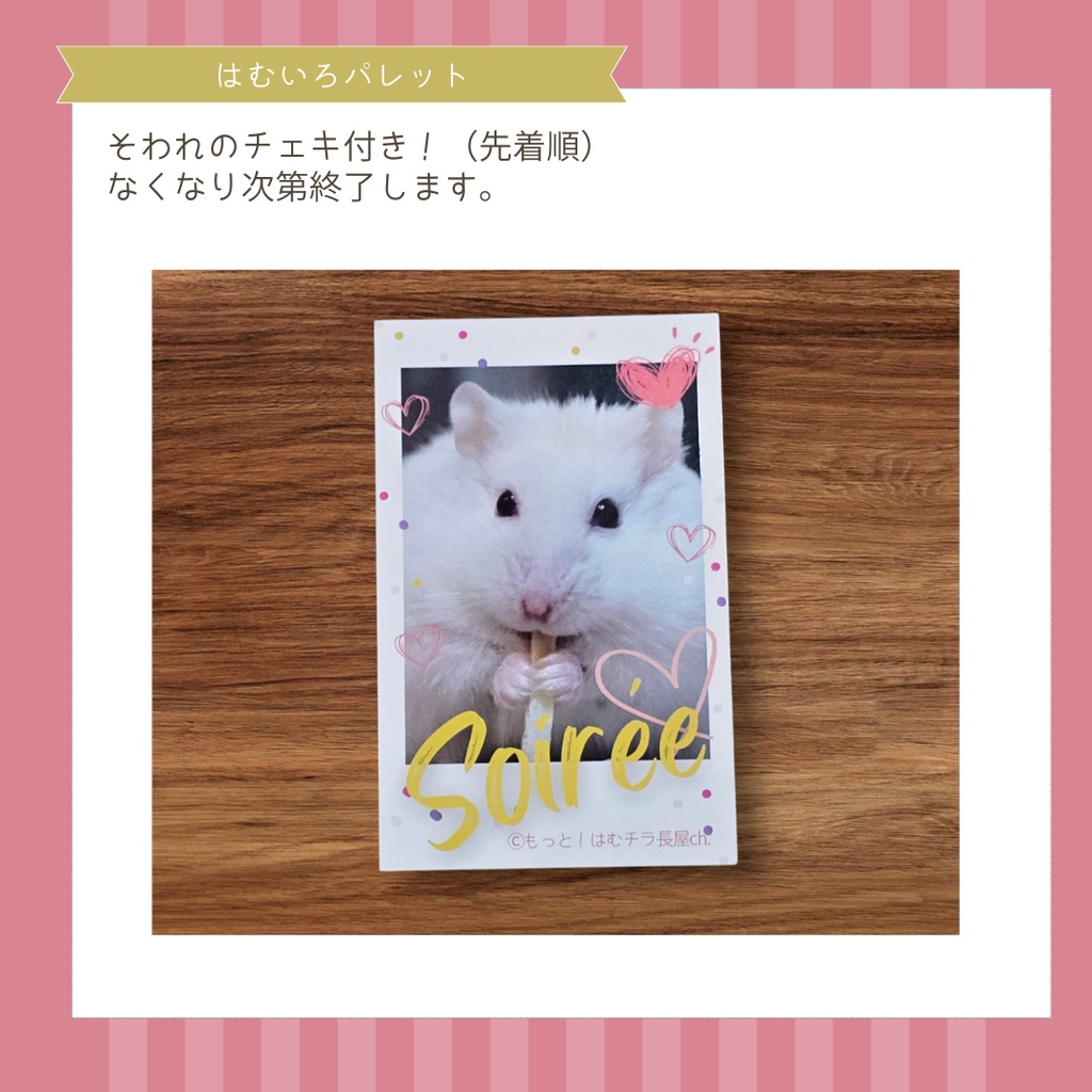 【新刊】はむいろパレット ~ジャンガリアンの毛色の世界~