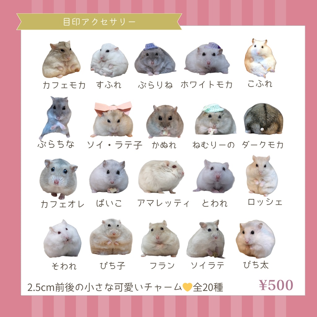 目印アクセサリー(全20種)