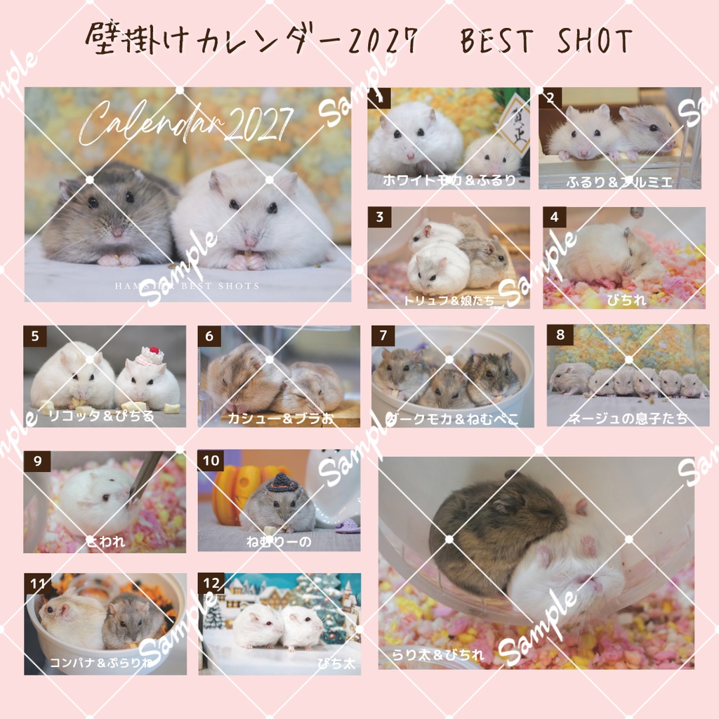 ご予約商品(~10/31)【2027年1月始まり】壁掛けカレンダー2027①~ベストショット(ジャンガリアンハムスター)