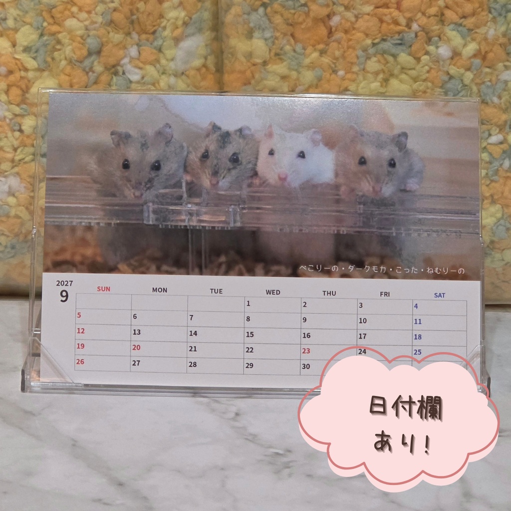 ご予約商品(~10/31)【2026年1月始まり】卓上ケースカレンダー2027~HAMUCHIRA GENERATIONS(ジャンガリアンハムスター)