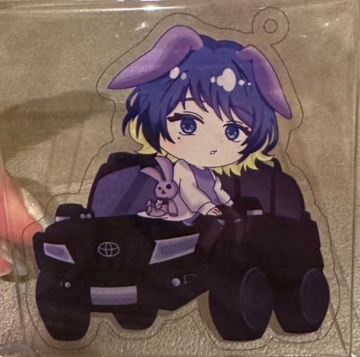 数量限定*アクキー*匿名配送