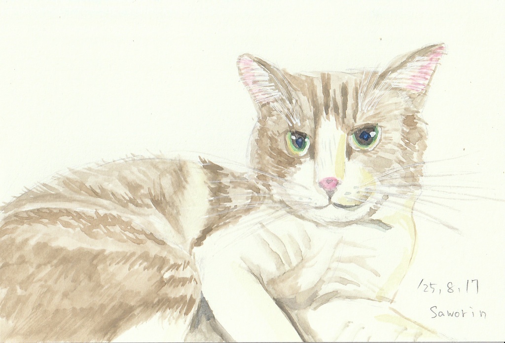 ねこ原画【悠々】