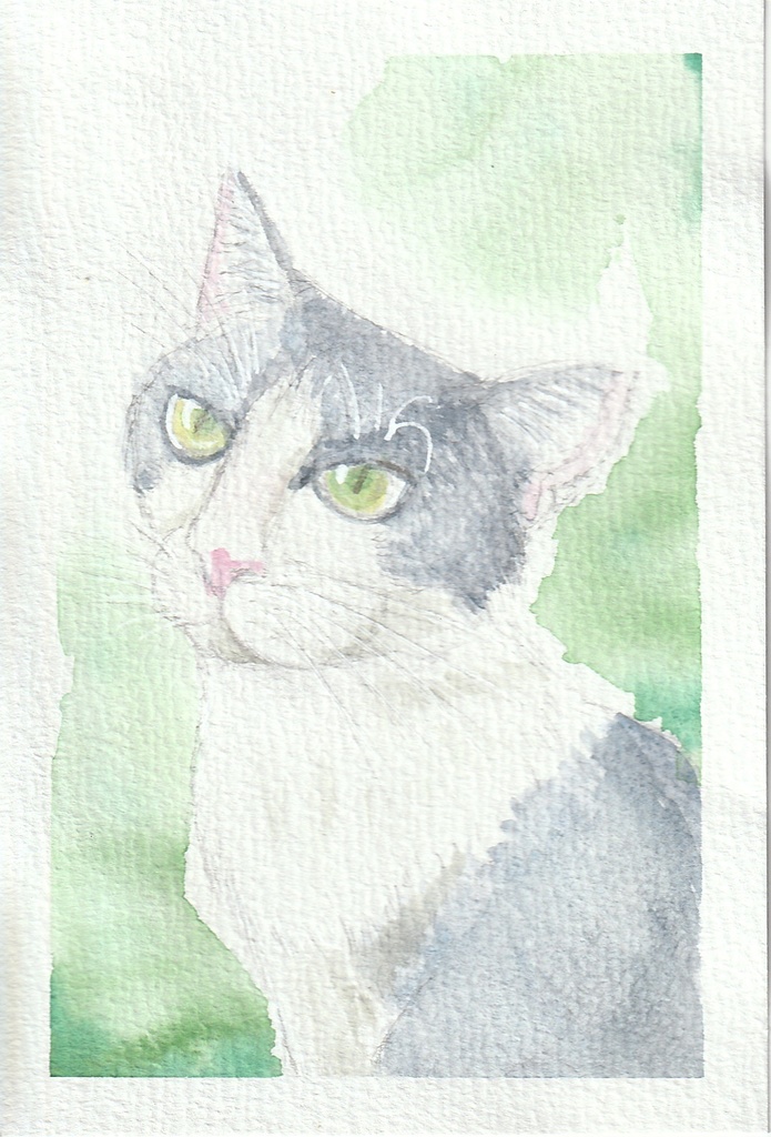 ねこ原画【遠い場所】