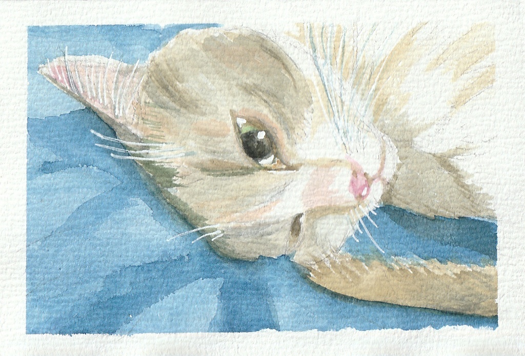 ねこ原画【ねころぶ】