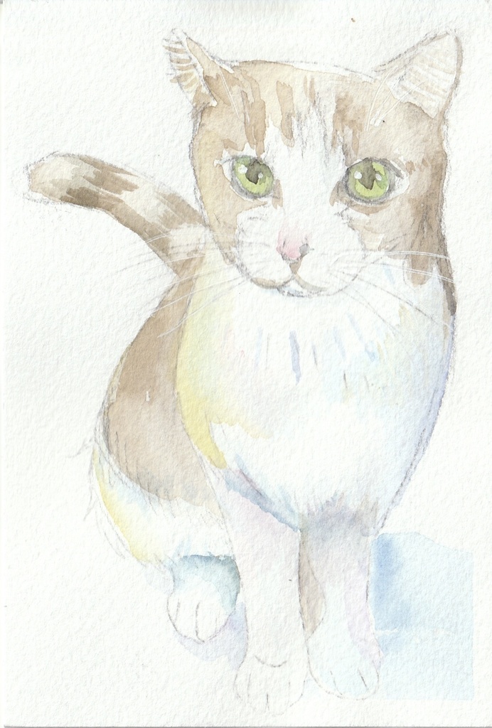 ねこ原画【あたたかい日】