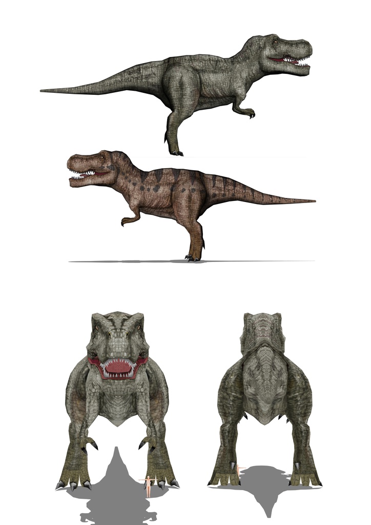 ティラノサウルス3D T-REX 3D