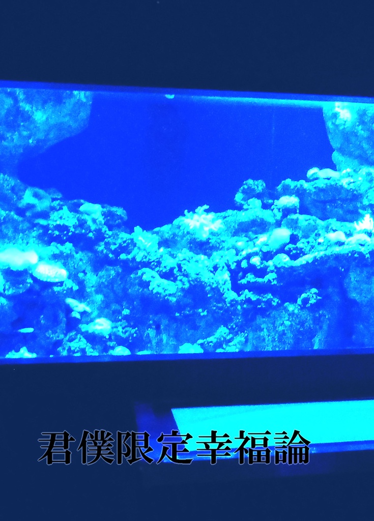 君僕限定幸福論